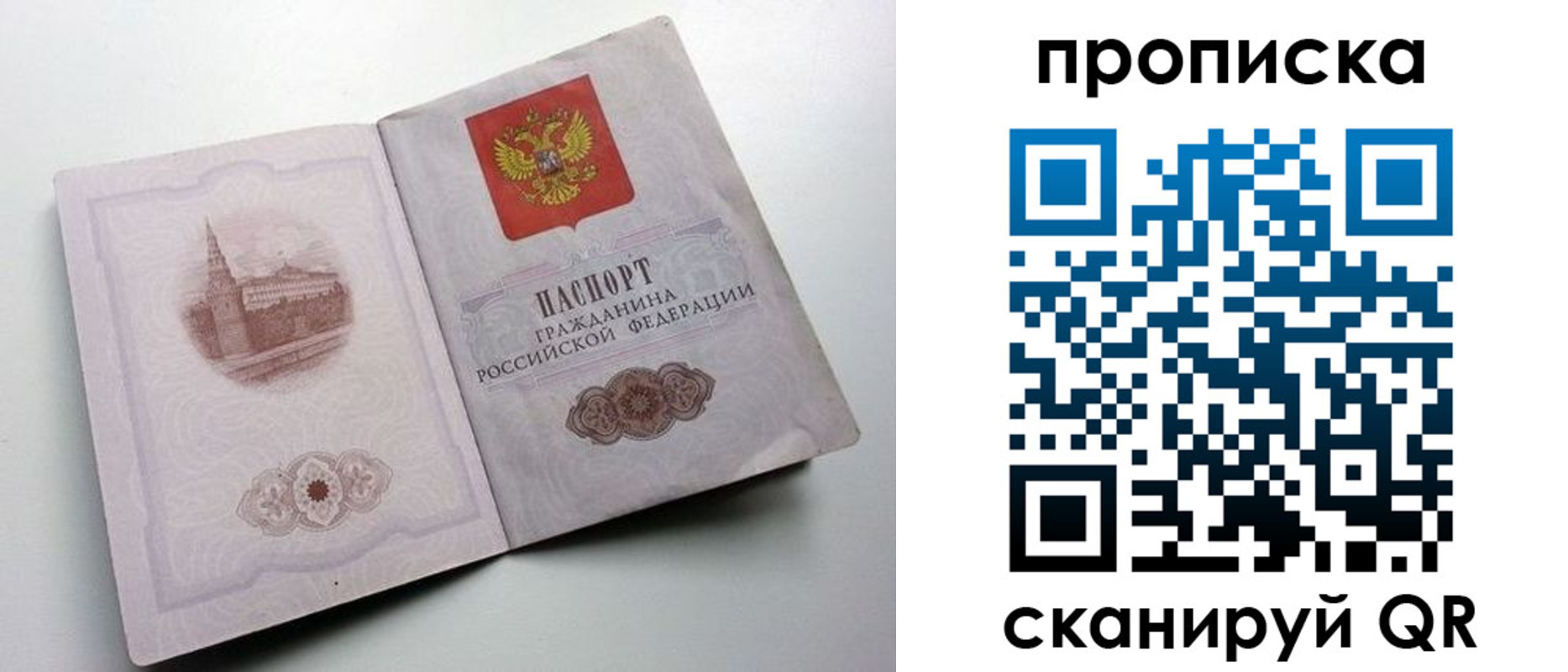 прописка иностранных граждан в Луге